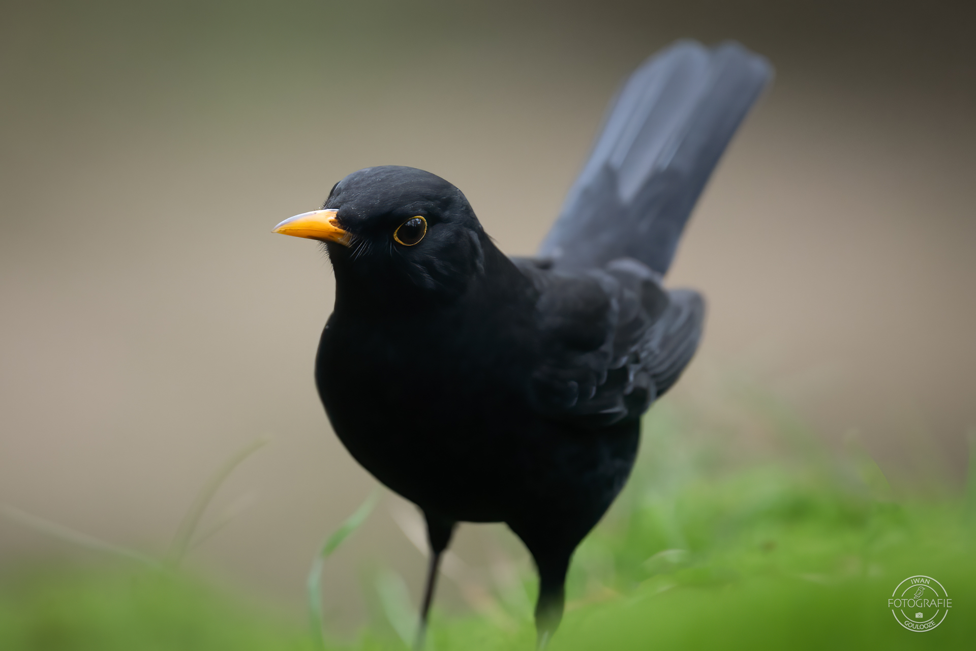 23 oktober 2022 161900 1R2A1722 bewerkt